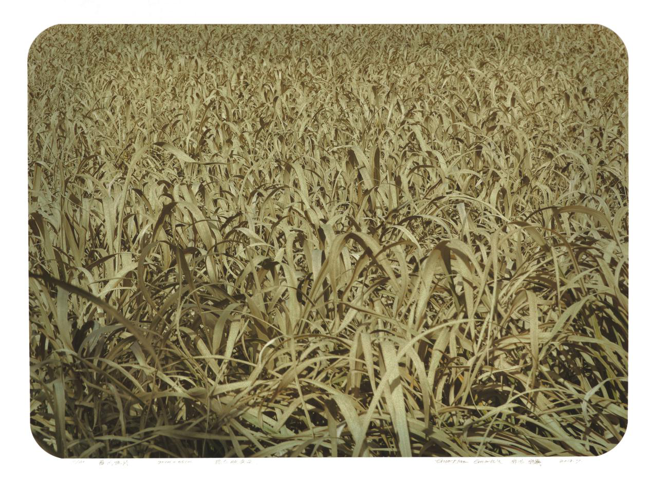 《薇风悦诗》 综合版套色 90cm×65cm  2019年7月  郭浩、郭巍.png