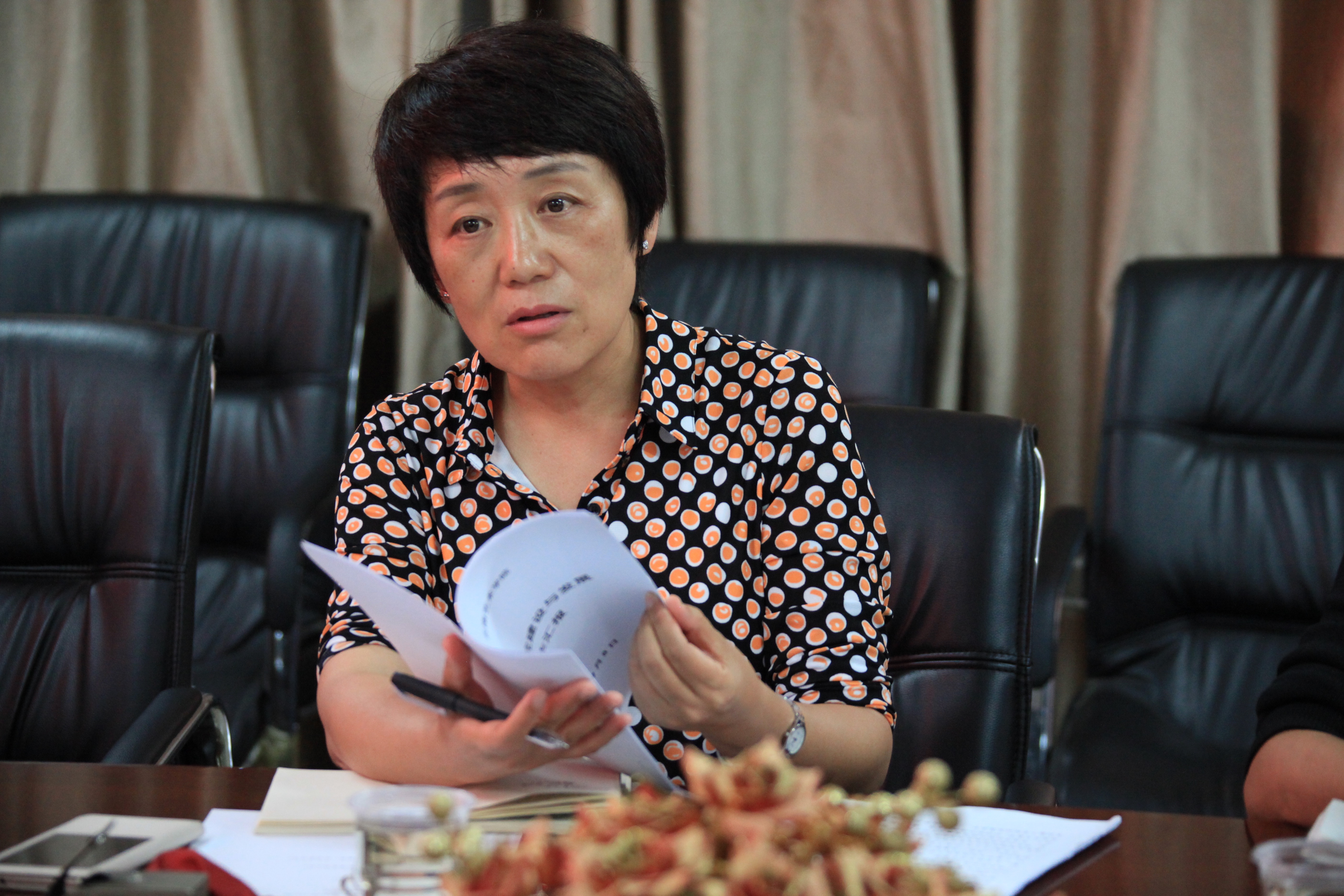 院党委书记黄雁玲同志到舞蹈学院调研工作