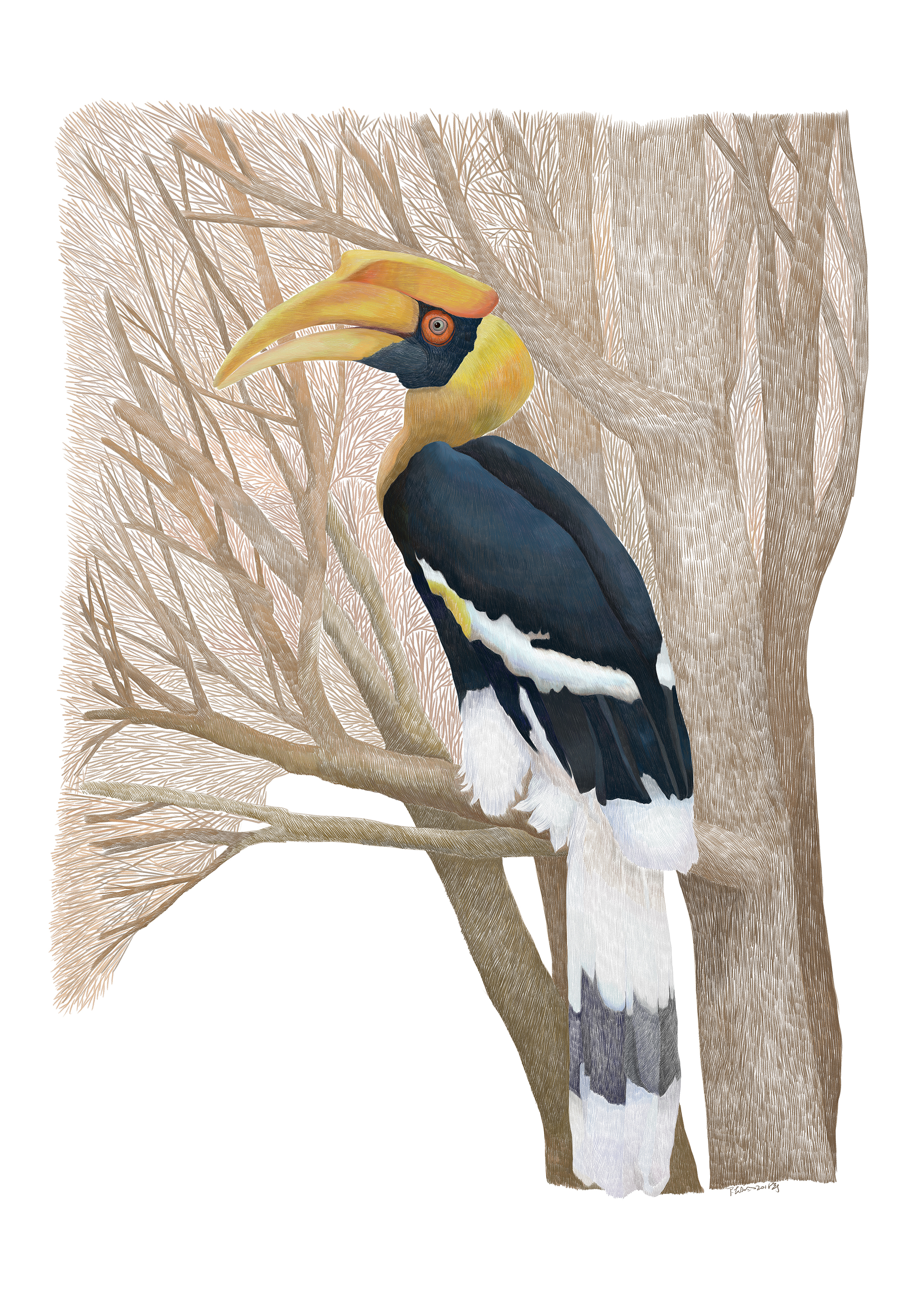 《热带雨林·云南1-1 》综合画种·插画  29.7x42cm  2016-2019 陈钧.jpg