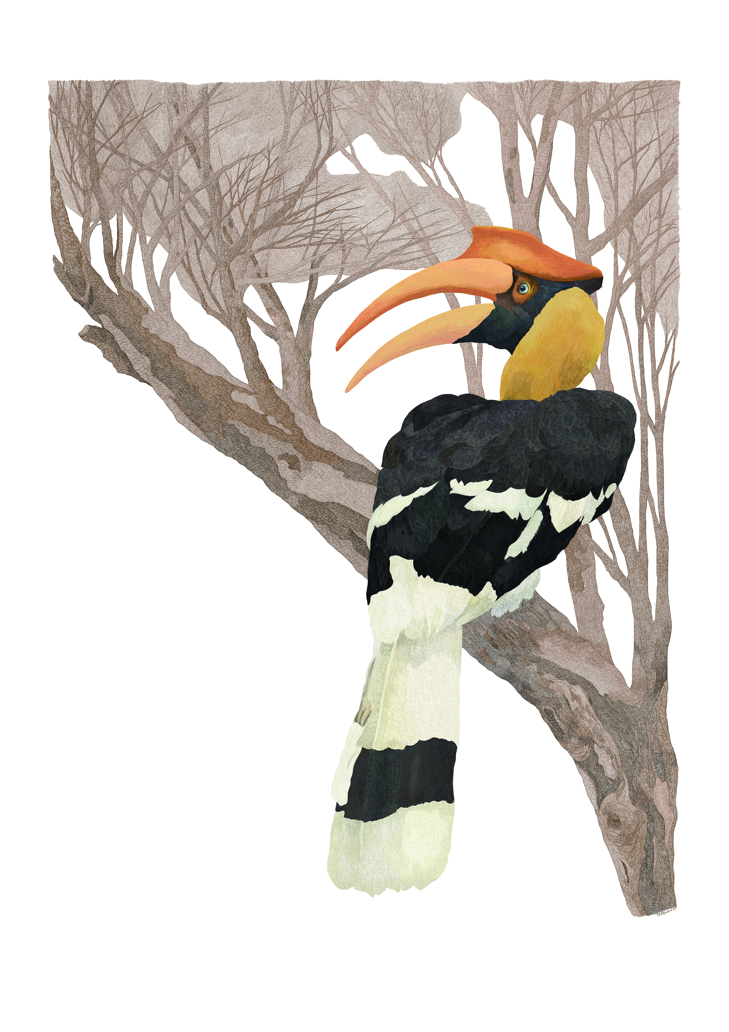 《热带雨林·云南2-1》 综合画种·插画  29.7x42cm  2016-2019  陈钧.jpg