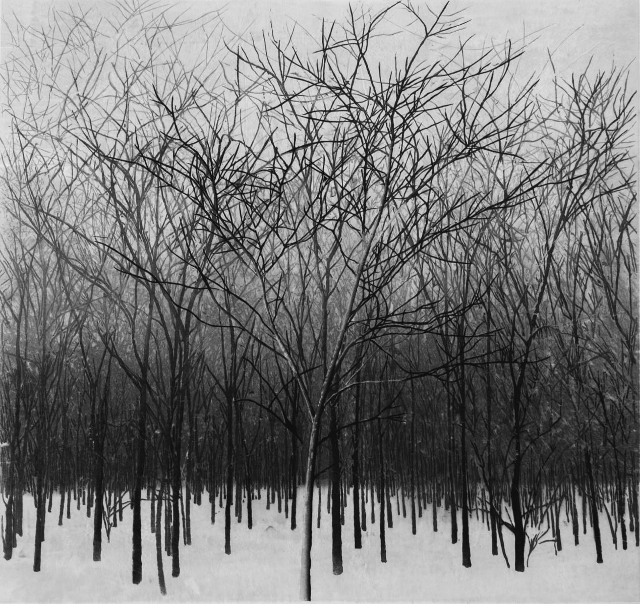 《停滞的风》 水印木刻  81cmx98cm  2017  李斌.png